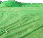 Spunbond PP Polypropylene Agricultural Crop Cover Extra Wide Nonwoven Fabric