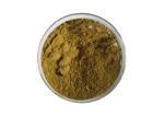 24% Flavones 6% Lactones Pure Natural Ginkgo Biloba Extract Powder