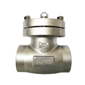 Cf8 / Cf3 Cryogenic Check Valve Straight Through Check Valve