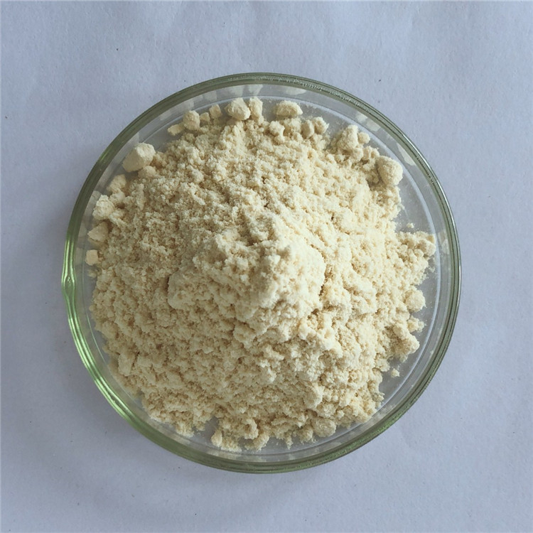Anti Cancer Herbs Black Carrot Extract Powder