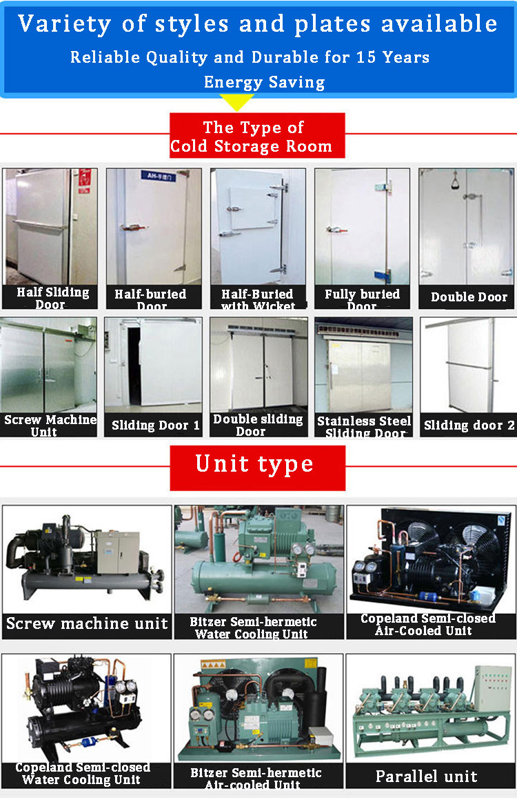 Icemedal Blast Walk In Freezer Room For Fish Meat Vegetable 220v/60hz/3ph