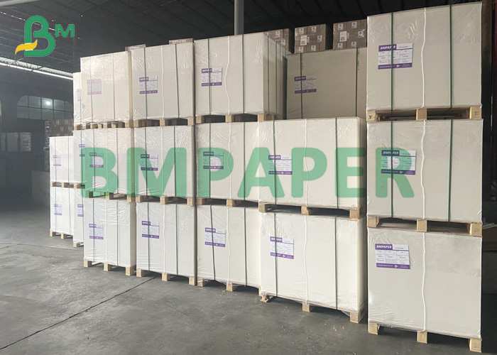 80um Premium Weather - Resistant  PET Synthetic Paper For Posters In Roll (1)
