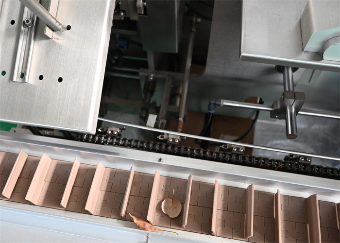 Carton Packing Machine LYWZH-120 Horizontal Intermittent, Fully Carton/box Packing