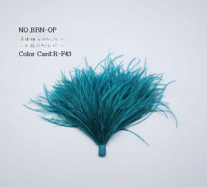 Soft and Fluffy 6*10 cm Dyed Ostrich Feather Bundle for Fashion Design