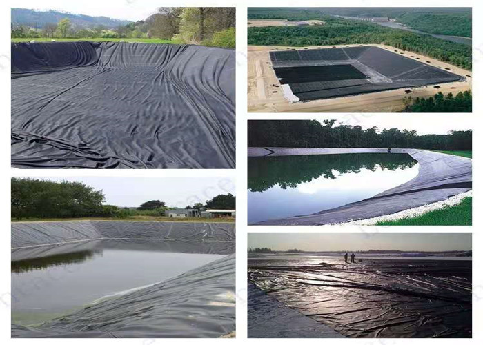 Fish Shrimp Farming Polyethylene Geomembrane Width 1m To 8m Pond Liner