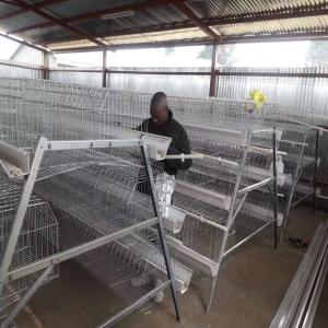 China 10000 Layers New Design Layer Hen Cage Battery Cage Eggs wholesale