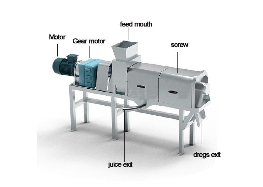 Industrial Automatic Double Screw Berry Pineapple Apple Grape Herb Vegetable Fruit Juice Squeezing Machine