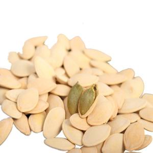 China Nutritious Toasted Squash Seeds for Your Customers' Taste Buds wholesale