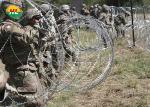 Clipped Concertina Razor Wire Galvanised Steel 300 MM Concertina Fencing
