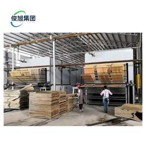 China Customizable Wood High Performance Veneer Dryer Machine wholesale