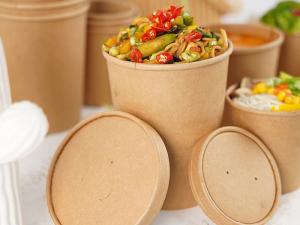 China 480ml Plastic Free PLA Disposable Paper Soup Bowls With Lids wholesale