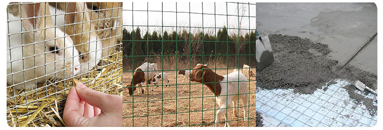 Welded Wire Mesh Fence Roll Bird Cage Weld Iron Wire Aviary Mesh