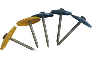 China Round Cap Oem 25mm Roofing Nails With Plastic Washers wholesale