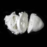 Pla Nylon Acrylic Pet Tpu Pmma 3d Printing Prototype Parts Sla Stereolithography