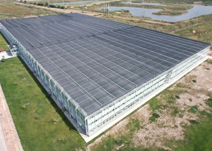 Wholesale China Supplier Large Multi Span Intelligent Horticulture Commercial Agriculture Glass Flower Greenhouse