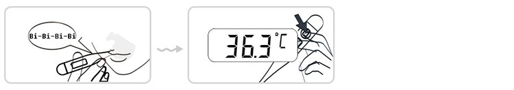 Flexible Basal Digital Thermometer Body Thermometer Digital Thermometer Prices