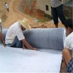 Customizable Sodium Bentonite Agriculture GCL Waterproof Blanket for Agriculture