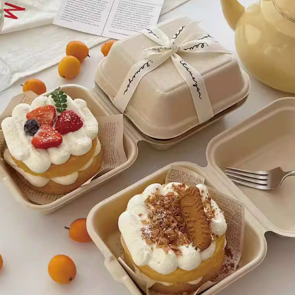 Single Cell Bagasse Lunch Box Disposable Bagasse Food Container 8 Inch