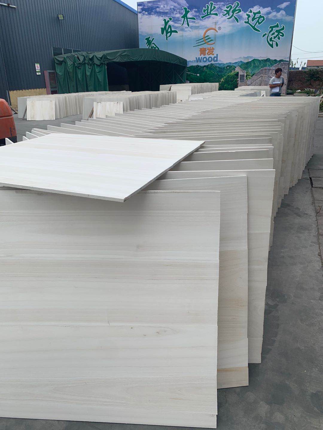 A/B Grade 3mm Paulownia Timber Solid Wood m3 for Project Solution Capability Different