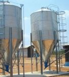 Automatic Pan Feeding System Poultry Farm Equipment