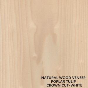 China Tulip American Natural Poplar Wood Veneer Flat Cut Crown White For Doors wholesale