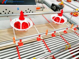 China KXD Automatic Poultry Breeding Equipment Chicken House Feeding Line wholesale