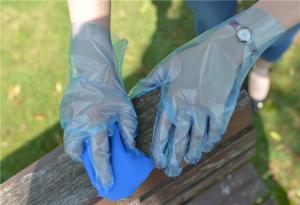 China Non Toxic Household Cleaning Disposable TPE Gloves on sale