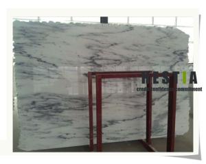 China Sino Bianco Landscape Marble Slabs wholesale