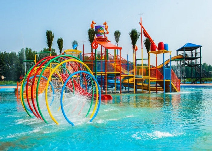 Customized Size Adults Whizzard Swimming Pool Water Slides