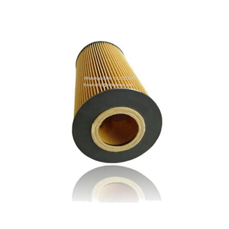 A001802109 Truck oil filter LF16046 E175HD129 A001802109
