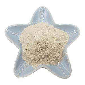 China White Color Chitosan Powder 85% Deacetylation For Polymer Agriculture wholesale