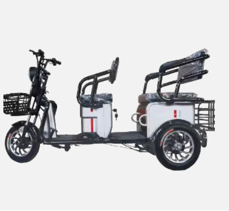 Tricycle Electric Tricycle Adult Scooter Electric Tricycle (48/60V 500W)