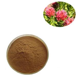 China Rhodiola Rosea PE Plant Extracted Powder Chinese Medicine wholesale