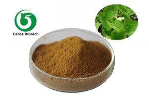 China Medical Food Grade Epimedium Extract Powder Flavone 5% For Enhancing Male Sexuality wholesale