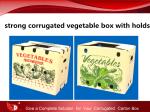 strong corrugated vegetable box with holds