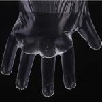 HDPE/PE Disposable Plastic Gloves Restaurant Home Service Catering Hygiene