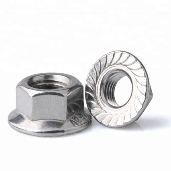 M8 Stainless Steel SS304 Hex Flange Nut DIN6923 Marine Grade Stainless Steel