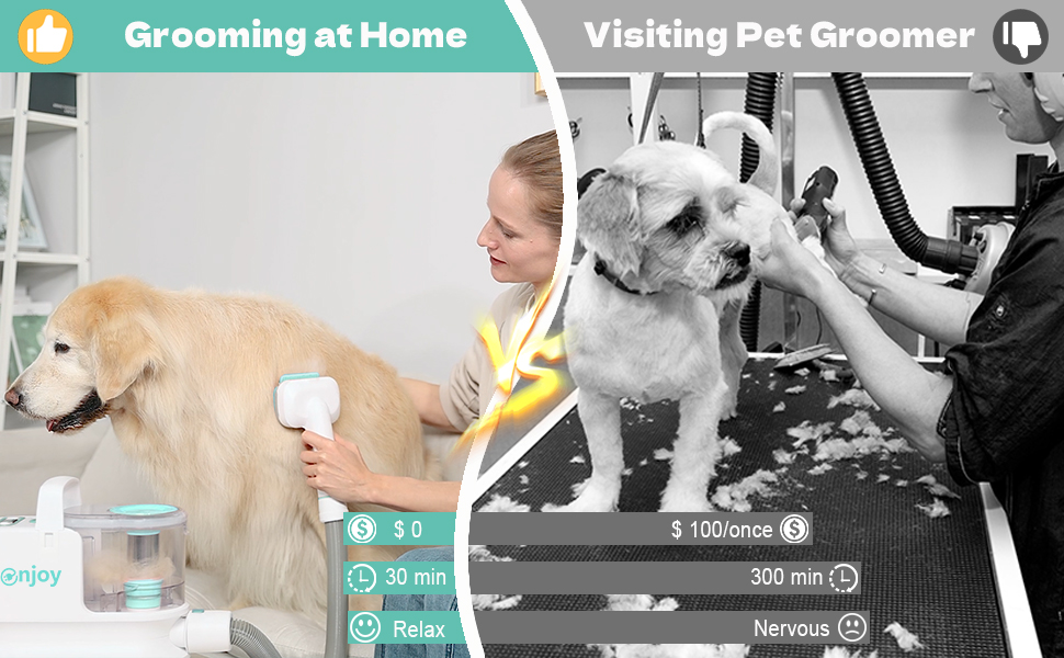 6-in-1 Pet Grooming Vacuum Cleaner for All Pet Hair Types and Lightweight Design