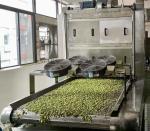 Seaweed Fava Bean Snack Salty Healthy Nut Snacks For Leisure Time