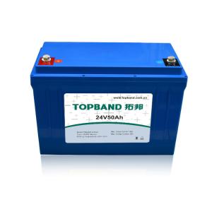 China Customized UPS Rechargeable Batteries Eco - Friendly TB2450F-M110A wholesale