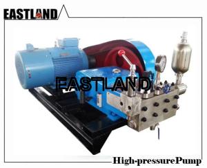 China Sell Quality Sea Water Pump Triplex Piston/Plunger Pump Made in China wholesale