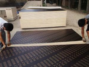 China Construction melamine wbp glue film faced plywood hot sale in Kenya wholesale
