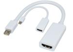DP To HDMI 20 Pins 5TTL Converter Adapter Cable