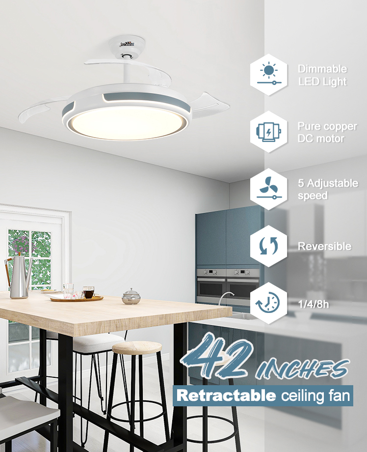 Indoor 42 Inch LED Ceiling Fan with Invisible Blades and Remote Control Switch Style