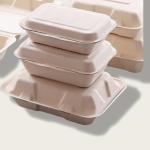 450ml Pulp Lunch Box Eco Friendly Takeaway Containers Water Resistance