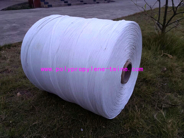Regular Common Cable PP Filler Yarn