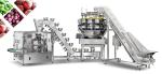 Frozen Food Fruit Multihead Weigher Packing Machine SUS 304