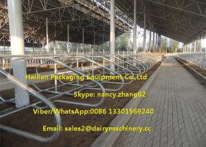China Hot Dip Galvanizing Tie Free Stall Dairy Barns Cow Farm Equipment Parts wholesale