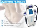 Body Shaping Fat Loss Machines , Vertical Body Slimmer Machine
