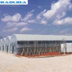 Vegetable Growing Tunnel Multi Span Greenhouse Plastic Film Material